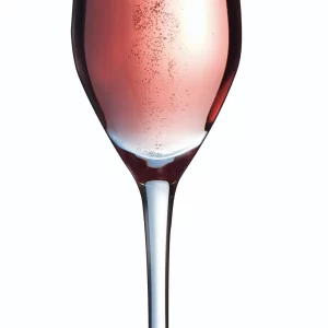 24 X Pepite Eisschale 21cl Arcoroc Transparent 19