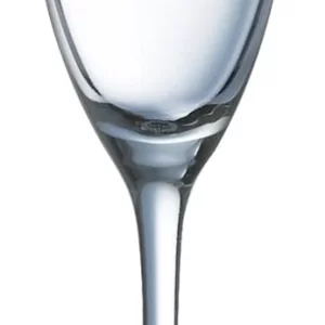 24 X Vina Sektkelch 19cl * – Arcoroc Transparent 11