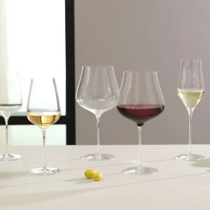 Leonardo Champagnerglas BRUNELLI 6er-Set 340 Ml 19