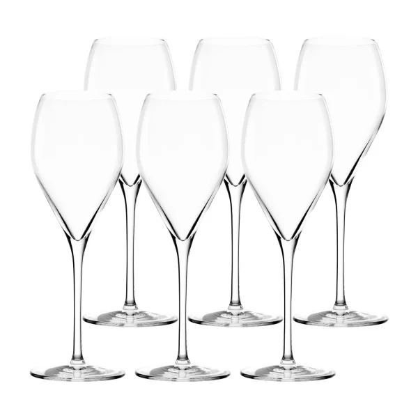 Leonardo Champagnerglas BRUNELLI 6er-Set 340 Ml 3
