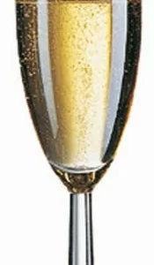 12x Arcoroc Degustationskelch VITICOLE Inhalt 21,5 Cl – Füllstrich 0,1 Ltr 19