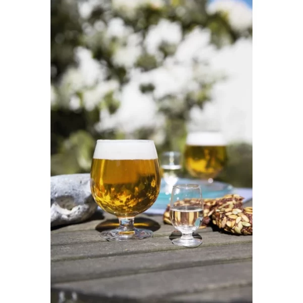 Holmegaard Det Danske Glas Schnapsglas 2er Set – 2 Pinnchen à 5 Cl – Glas Mundgeblasen 3